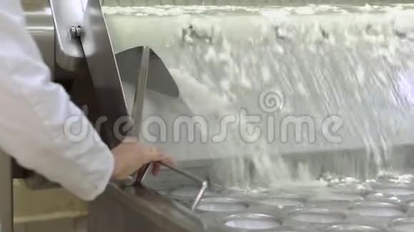 乳品厂工人在inox罐中加工豆腐奶酪生产过程视频的预览图