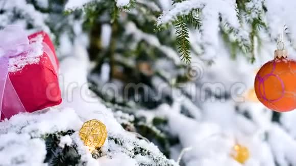 在白雪覆盖圣诞树的树枝上圣诞礼物旁边有一条白色丝带视频的预览图