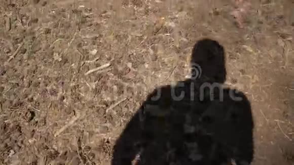 博主的影波一个人在森林里走过的影子挥手致意4K视频的预览图