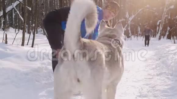 年轻人和女人在冬天的早晨公园做运动在热身漂亮的白色哈士奇狗来了视频的预览图