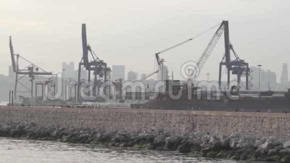 城市的工业港区大型船只起重机和海鸥飞过的建筑物视频的预览图
