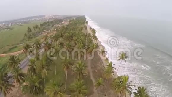 非洲海滩和棕榈树视频的预览图