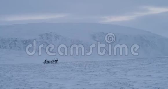 一群驯鹿带着一个西伯利亚人带着雪橇在北极冻土带中间的雪场里兜风视频的预览图