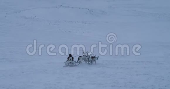 西伯利亚男子穿着传统的毛皮衣服与一群驯鹿一起乘坐雪橇在中部视频的预览图