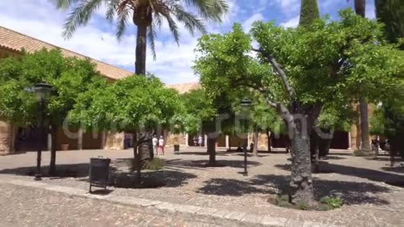 西班牙安达鲁西亚科尔多瓦清真寺内庭院的全景视频的预览图