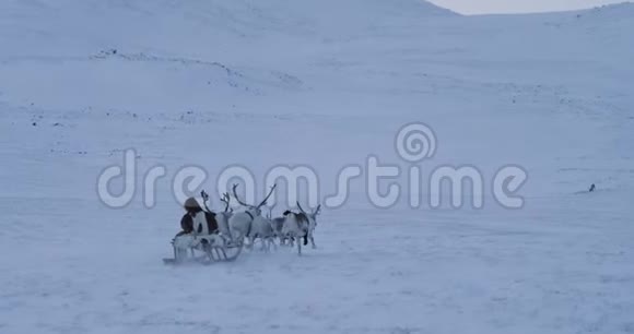 在北极雪地的中间穿着毛皮的人和驯鹿一起坐雪橇缓慢的动作视频的预览图