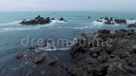 新西兰凯库拉视频的预览图