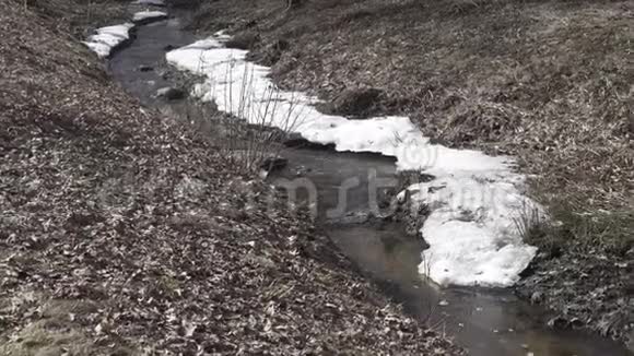 林中融冰河岸白雪皑皑视频的预览图