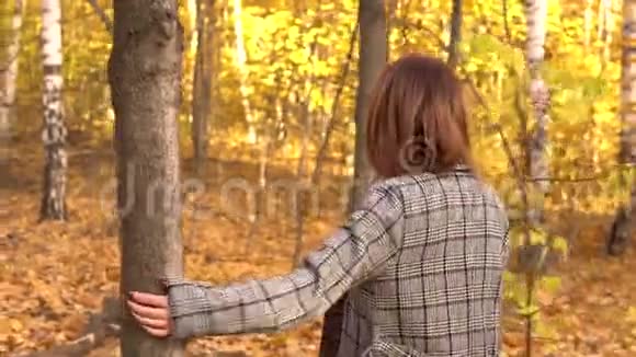 一个戴眼镜穿外套的年轻女子走在秋天的森林里黄色的叶子视频的预览图
