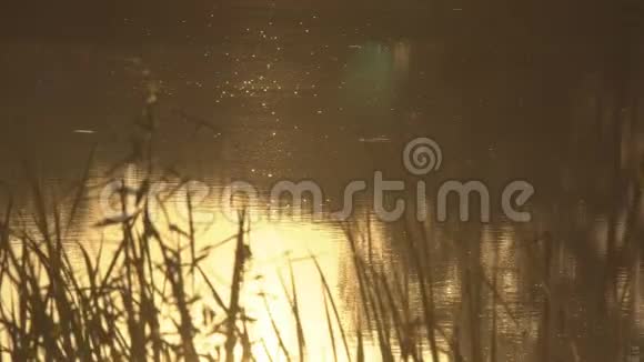 傍晚的湖景视频的预览图