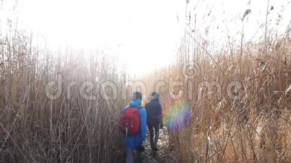 在秋天的田野里带着背包的旅行者视频的预览图