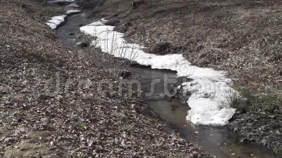 林中融冰河岸白雪皑皑视频的预览图