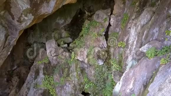 小而浅的绿色植物生长在大而锋利的石头上视频的预览图