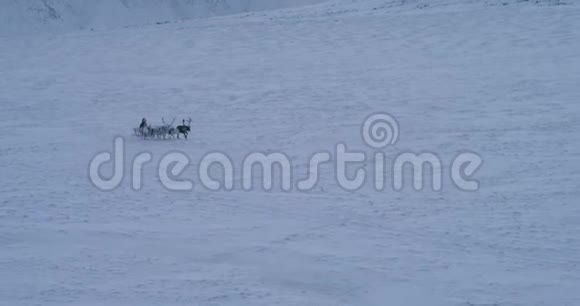 在北极中部的冻土带里雷德斯跑得很快人们穿着毛皮坐在雪橇上缓慢的动作视频的预览图