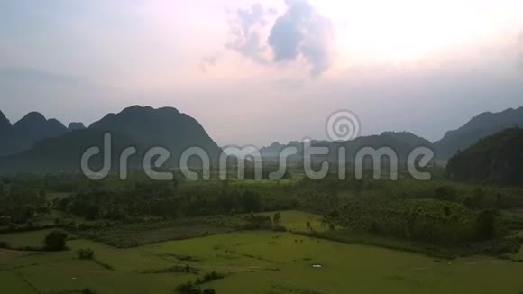 雾中的绿色田野和森林映衬着小山视频的预览图