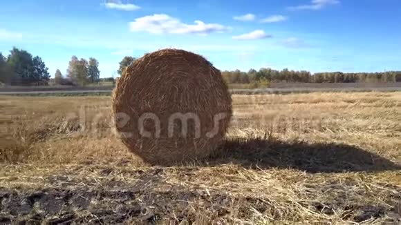 在广阔的田野上紧紧地围绕着巨大的稻草卷视频的预览图