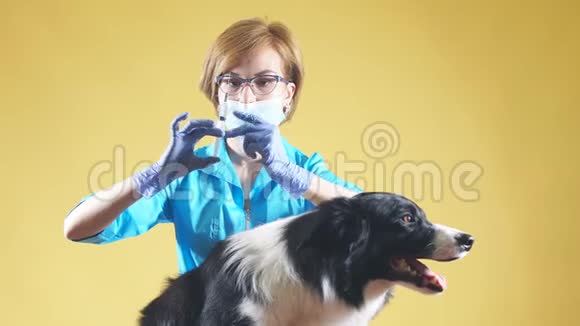 专业的女兽医正在注射视频的预览图