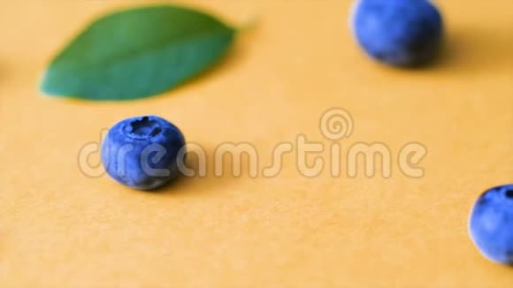 粉红色背景上的蓝莓和绿叶电影蓝莓4k视频成熟和多汁的新鲜采摘的蓝莓接近视频的预览图