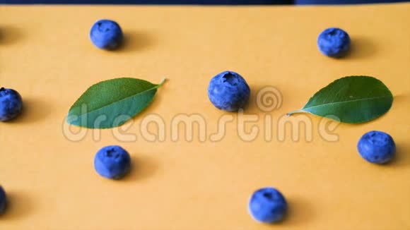 粉红色背景上的蓝莓和绿叶电影蓝莓4k视频成熟和多汁的新鲜采摘的蓝莓接近视频的预览图