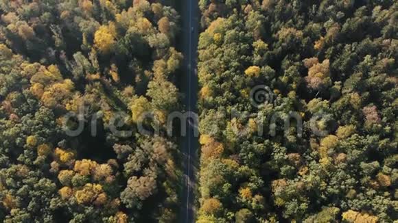 喀尔巴阡山脉森林中的细高速公路夏季空中拍摄视频的预览图