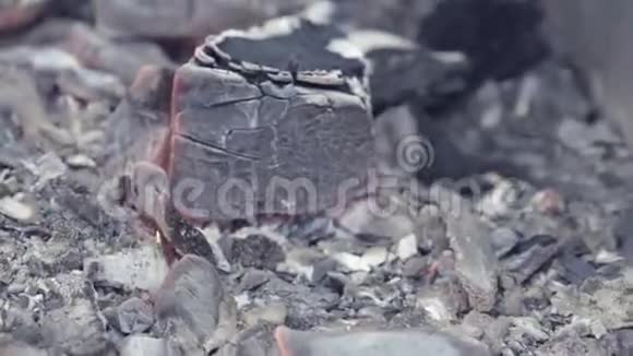 燃烧有机煤在火中烧烤的特写镜头烤肉架上烧煤的特写镜头股票视频的预览图