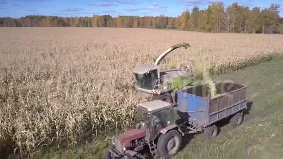 紧密结合装载拖拉机空挂车和玉米叶视频的预览图