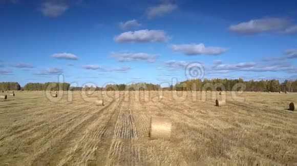 空中的草捆散落在田野上与森林搏斗视频的预览图