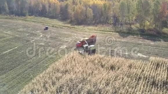 上景玉米与青贮收割的卡车结合视频的预览图