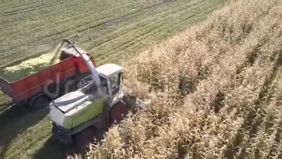空中饲料收割机用切割玉米团装满卡车视频的预览图