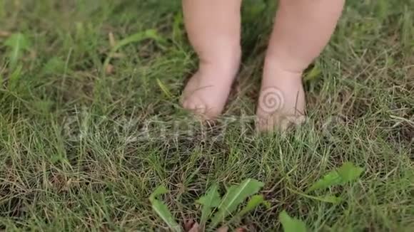 绿色草地上新生婴儿的腿部特写视频的预览图