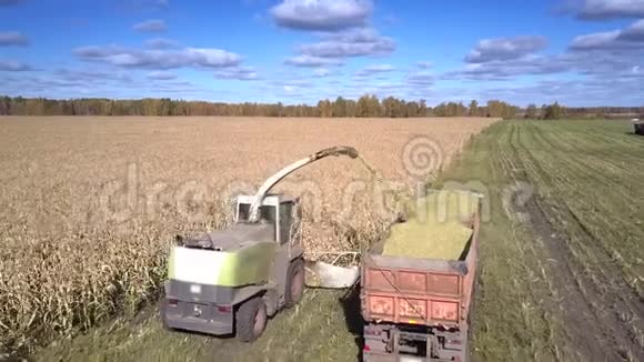 近景裁剪机切割玉米茎和倒入拖车视频的预览图