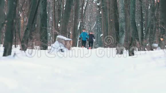 年轻有为男子和妇女在冬季森林中慢跑视频的预览图