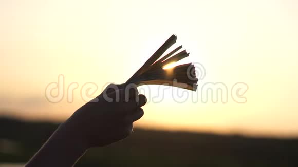 日落时分雌鸟手中的一叠钱在阳光下慢慢移动视频的预览图