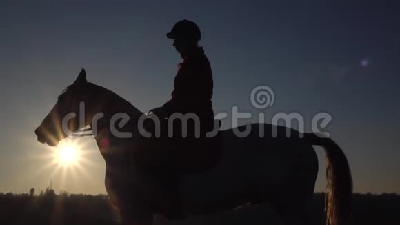 骑马的马女骑在草地上剪影慢动作侧视图视频的预览图