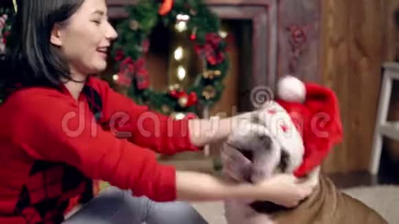 迷人的亚洲女孩爱和爱抚一个可爱有趣的斗牛犬在圣诞树下女孩把圣诞老人的帽子戴在狗身上视频的预览图