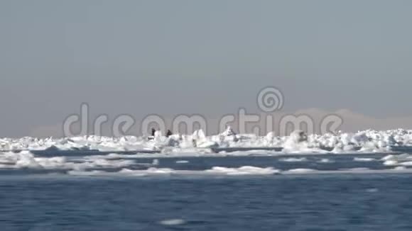 船在北海的冰中航行视频的预览图