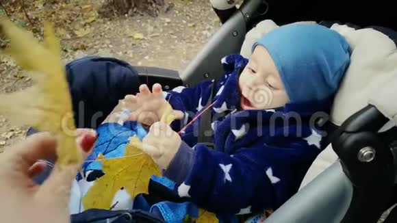 婴儿车里的小男孩慢悠悠地玩着黄叶视频的预览图
