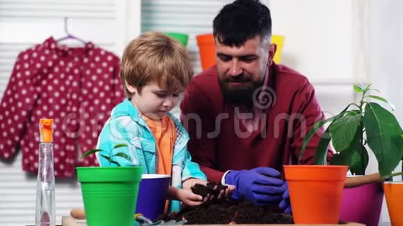 父子俩用彩色花盆种花长胡子的人和一个小男孩在花盆里种幼苗家庭概念视频的预览图