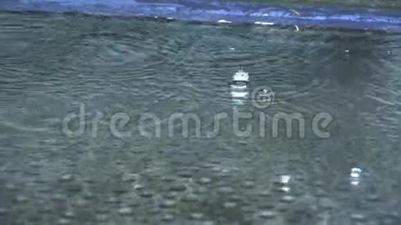 秋天的雨水落在大水坑里视频的预览图