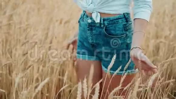 穿着短裤的小女孩走在麦田里在镜头里微笑着触摸谷物太阳耀斑在后面闪耀视频的预览图
