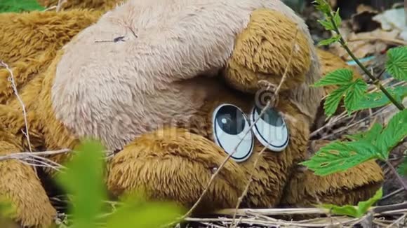 泰迪熊被遗弃了用眼睛看头很不幸垃圾视频的预览图