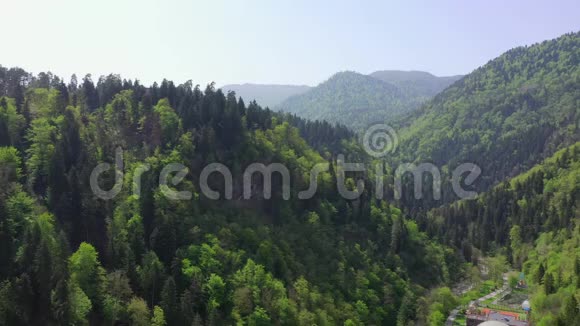 Borjomi市附近漫山遍野森林的鸟瞰图视频的预览图