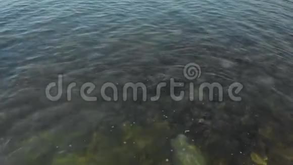 一个女孩漂浮在海里的橡胶圈上夏天的海上度假空中射击视频的预览图