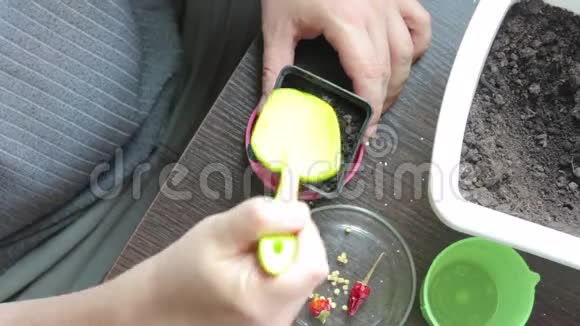 一个人在锅里播种用一个杯子里的水把种子浇水从上面看视频的预览图