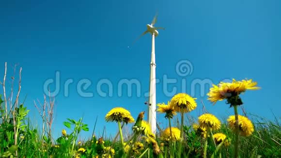 替代风能发电机涡轮和黄色蒲公英花视频的预览图