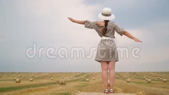 戴着帽子的年轻女子望着天空她的双手举着天空在一片麦田的中央夏天带着包视频的预览图