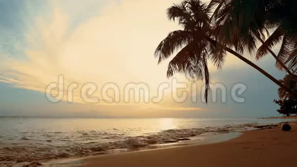天然棕榈滩日落岸上的波浪反射着日落的海天傍晚棕榈滩海岸视频的预览图