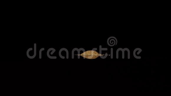 黑色反光表面的大蒜粉视频的预览图