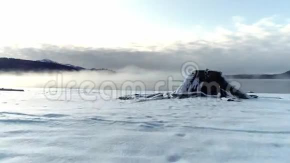 冬季从高山湖泊升起的主要雾视频的预览图