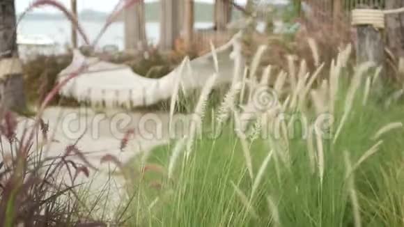 网眼复古时髦吊床挂在花园与高绿草在白天老式院子里的小穗子现代视频的预览图